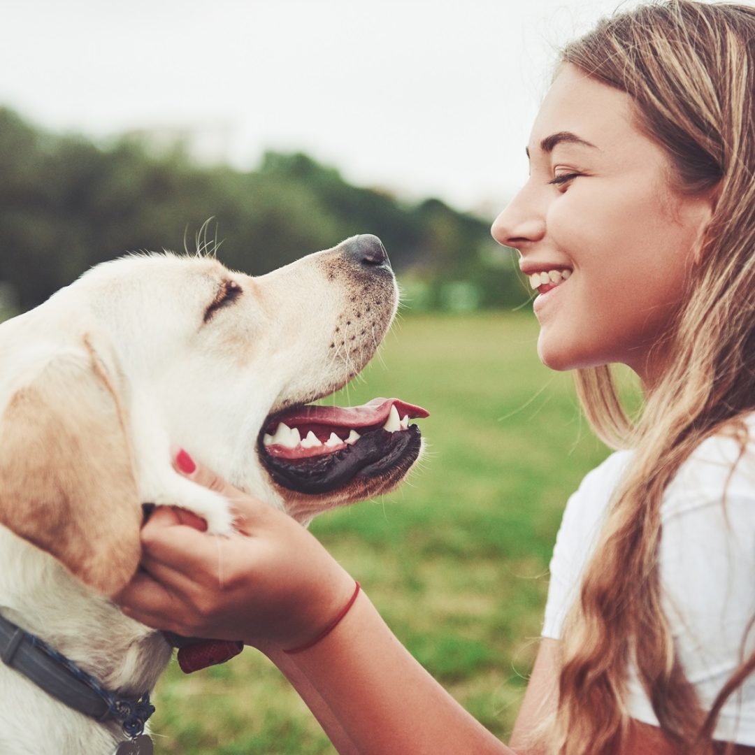 Frame with a beautiful girl with a beautiful dog in a park on green grass