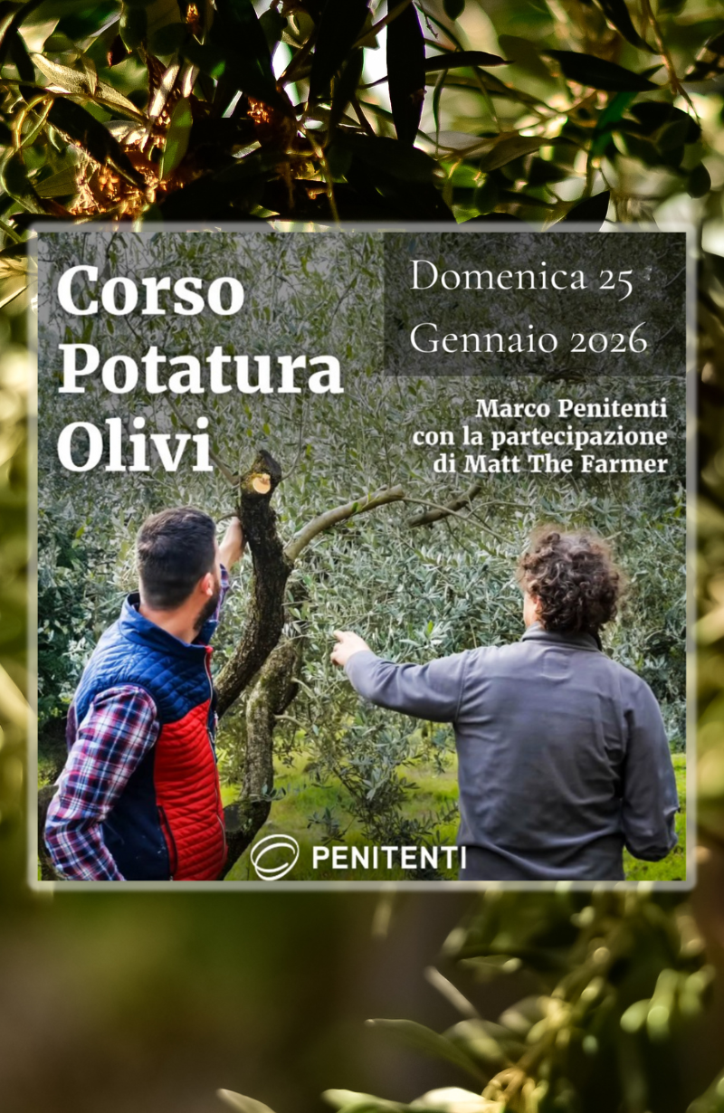 Corso Potatura Ulivi
